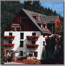 Landhotel Osterlamm Gruenhain-Beierfeld Экстерьер фото